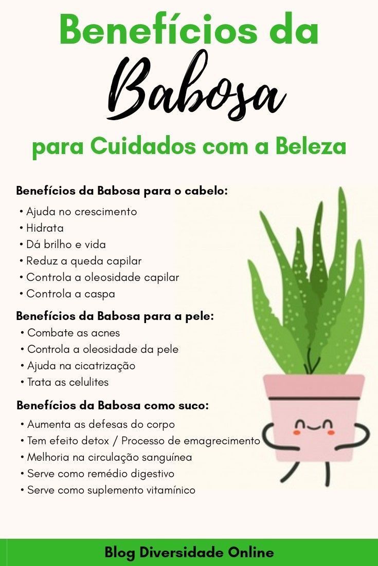 Imagem 5 - Benefícios da Babosa